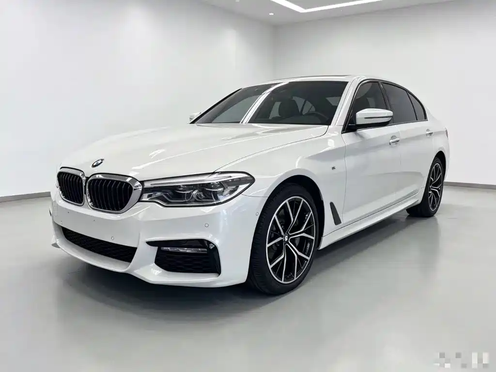 BMW 5 Series — миниатюра 2