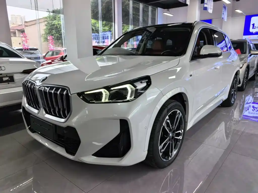 BMW X1 — миниатюра 2