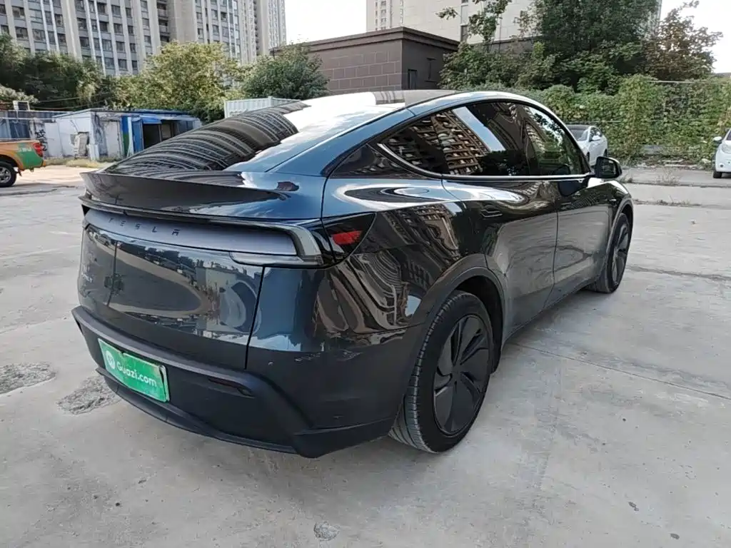 Tesla Model Y — миниатюра 7