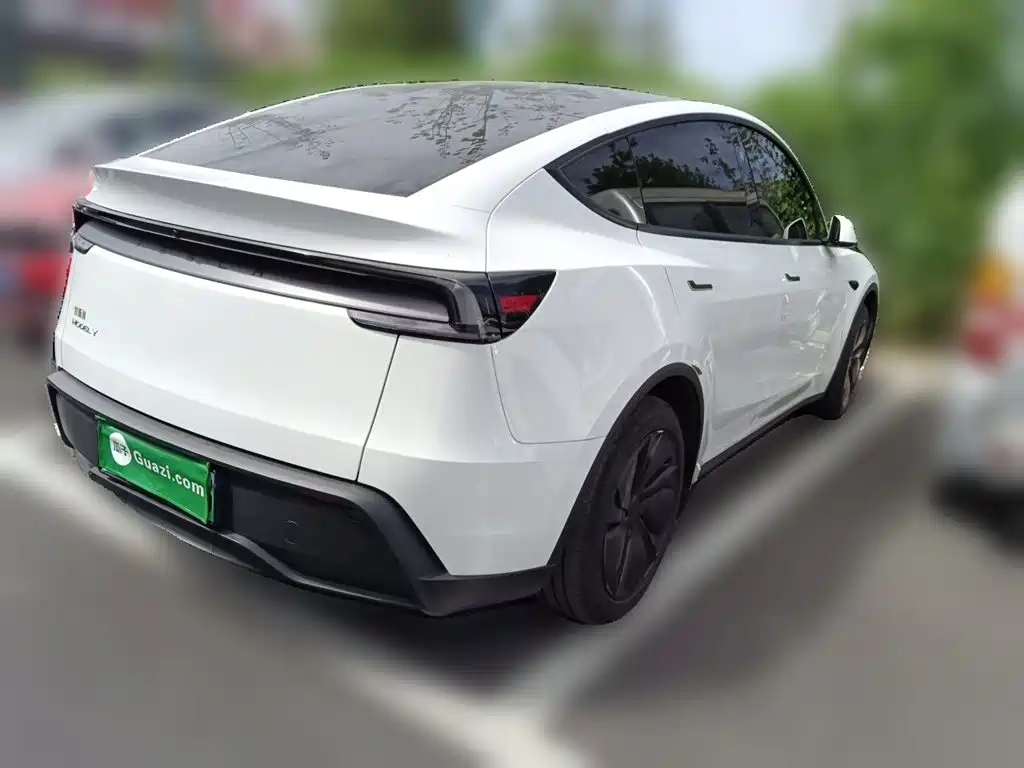 Tesla Model Y — миниатюра 4