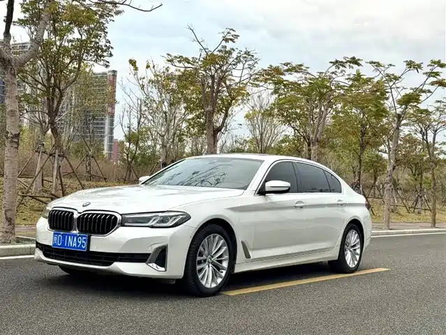 BMW 5 SERIES