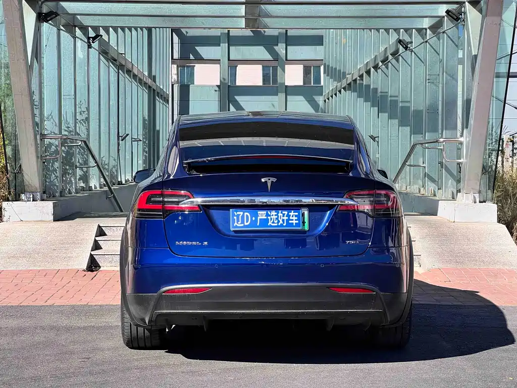 Tesla Model X — миниатюра 5