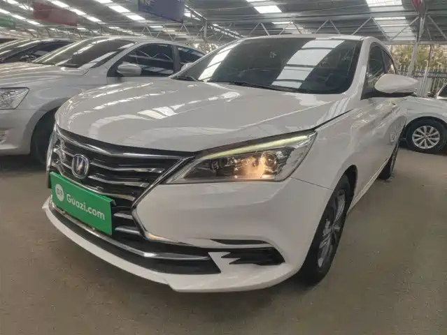 CHANGAN YIDONG DT 2019