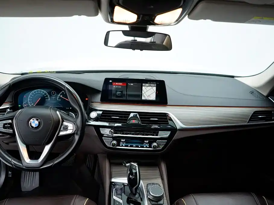 BMW 5 Series 5 2019 530Li Premium Luxury