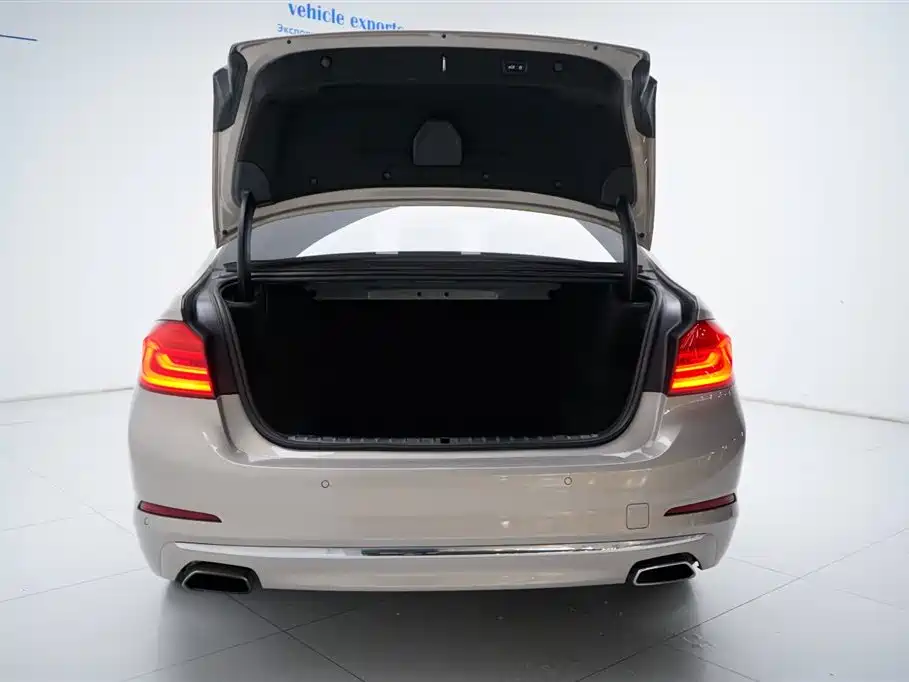 BMW 5 Series 5 2019 530Li Premium Luxury