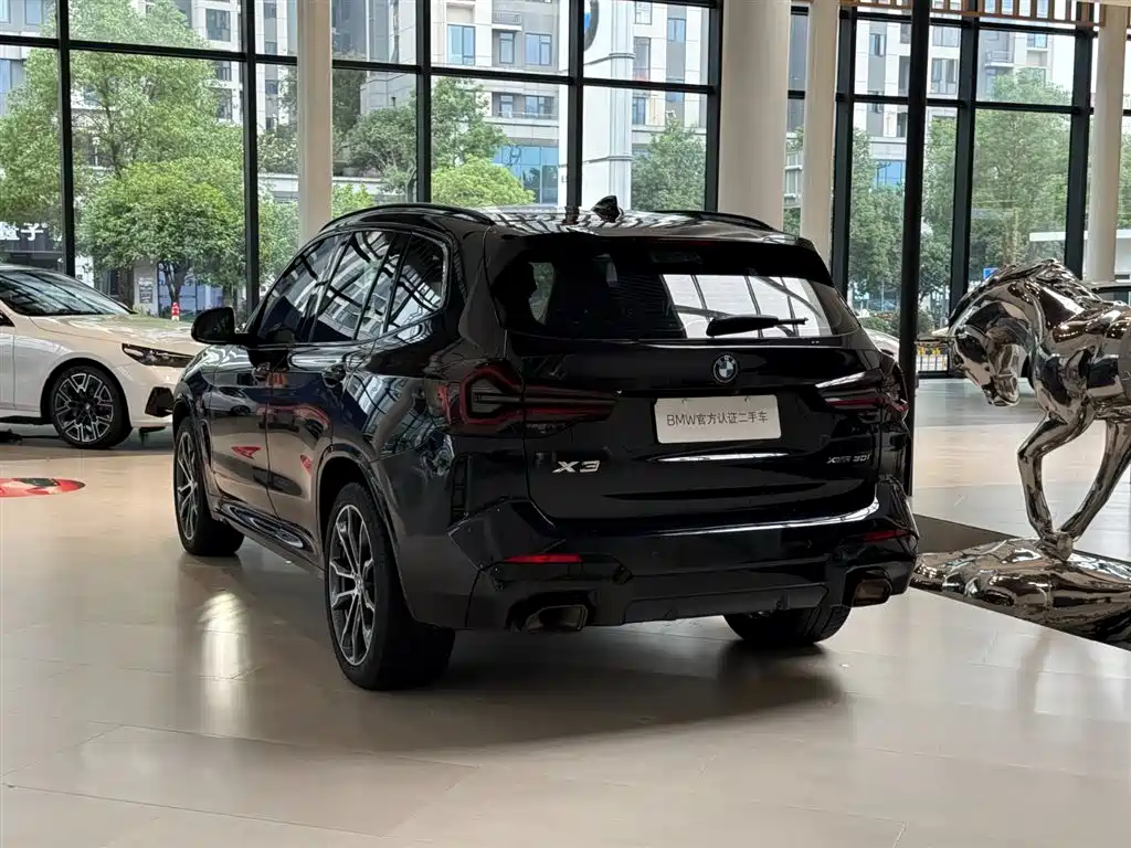 BMW X3 — миниатюра 11