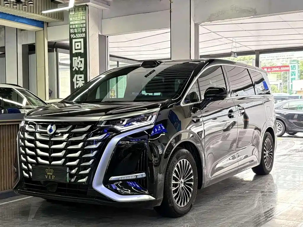 Denza Denza D9
