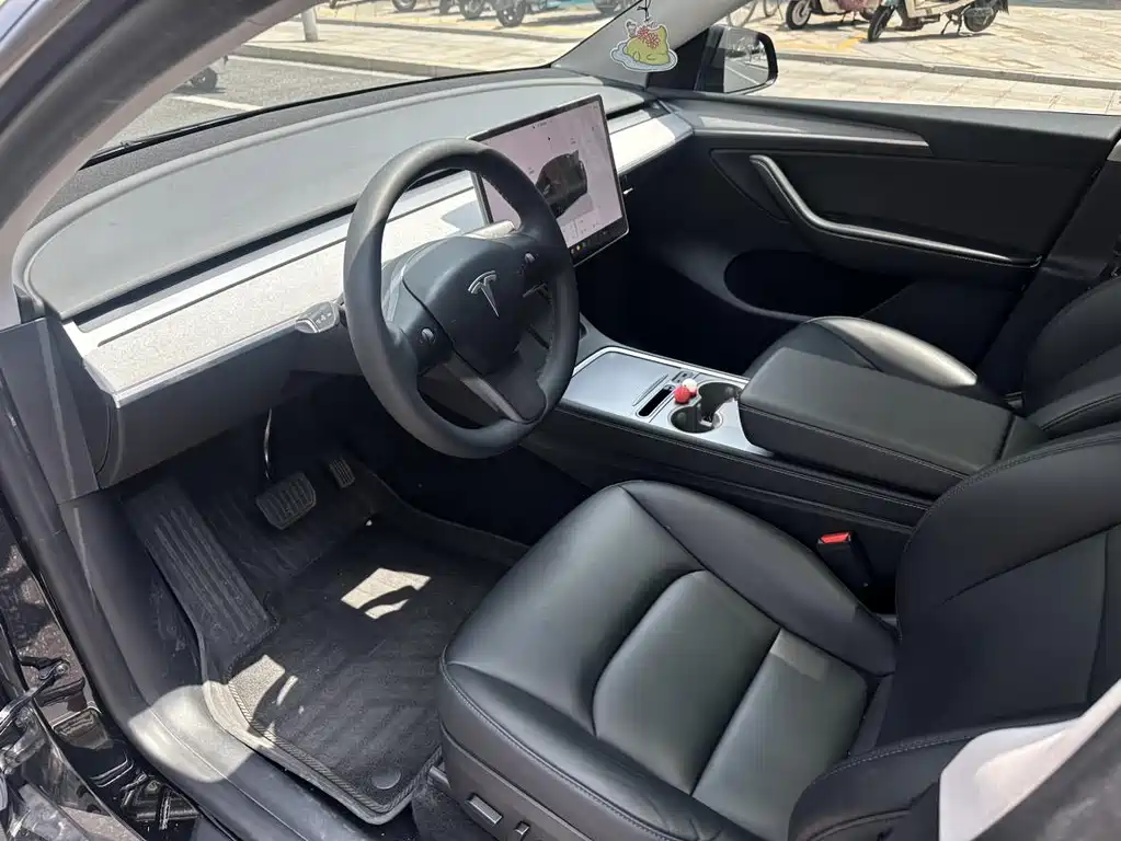 Tesla Model Y — миниатюра 2