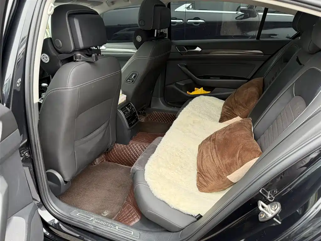 Volkswagen Magotan 2020 330TSI DSG Luxury