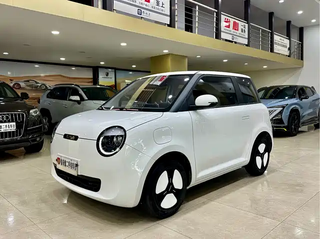 2024 Changan Lumin