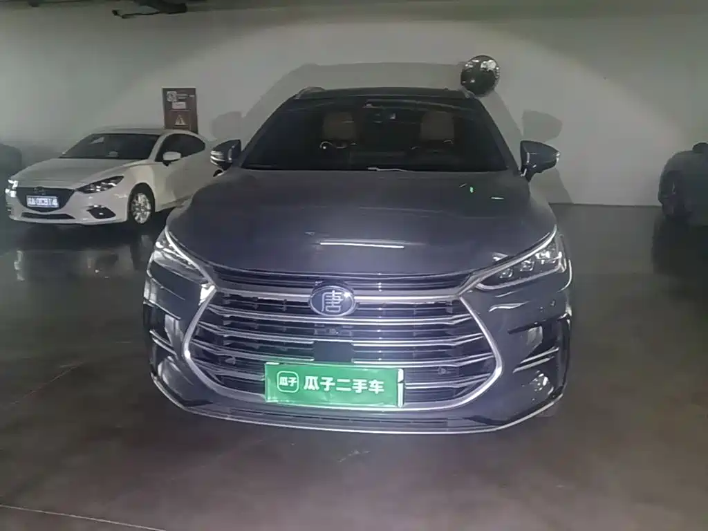 BYD Tang New Energy — миниатюра 2