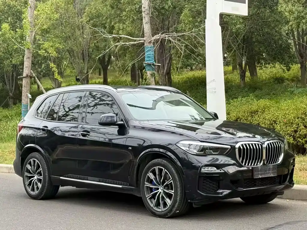 BMW X5 (Import) — миниатюра 3