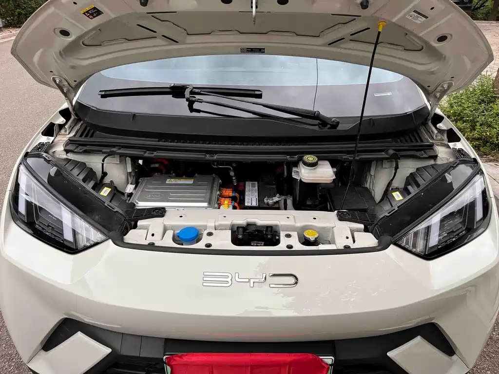 BYD Seagull — миниатюра 24