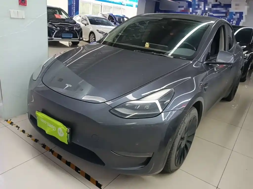 Tesla Model Y — миниатюра 2