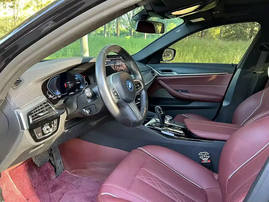 BMW  5 SERIES NEW ENERGY