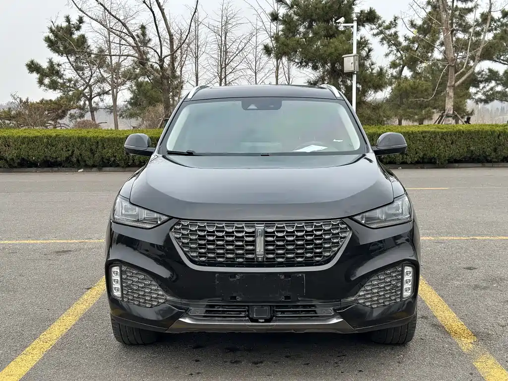 Wey VV6 2.0T 2WD Smart Guard +, фото 2