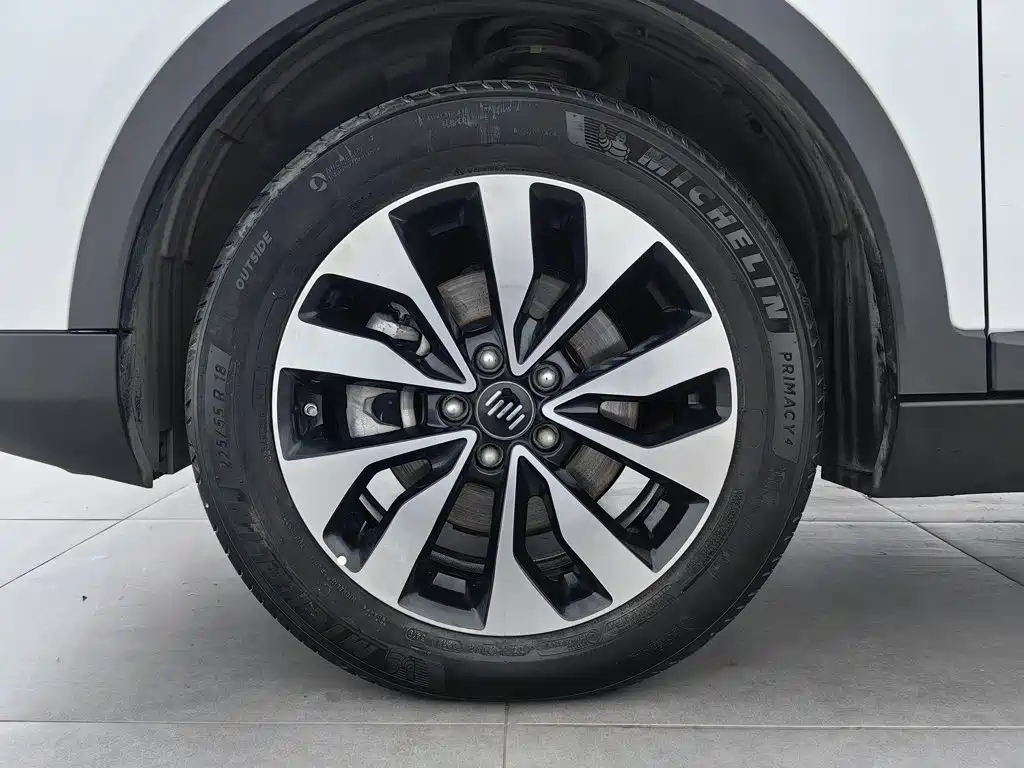WM Motor EX5 — миниатюра 17