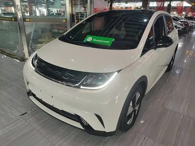2023 BYD Dolphin