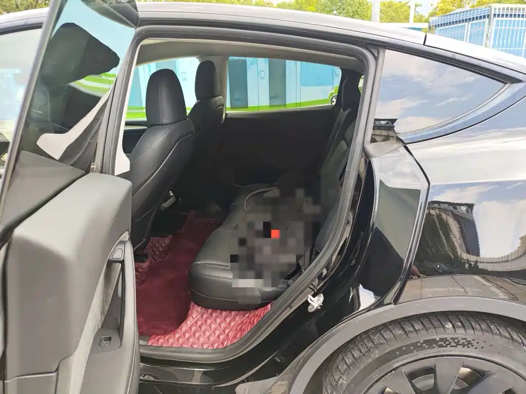 Tesla Model Y — миниатюра 2