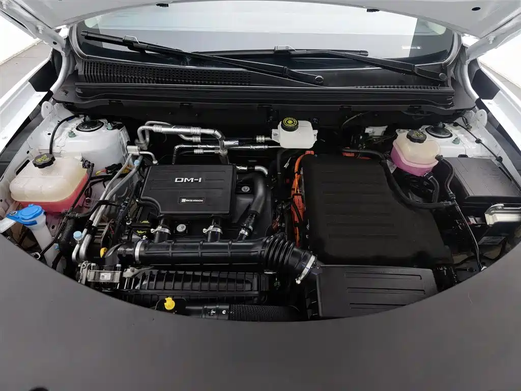 BYD SONGJIANG NEW ENERGY