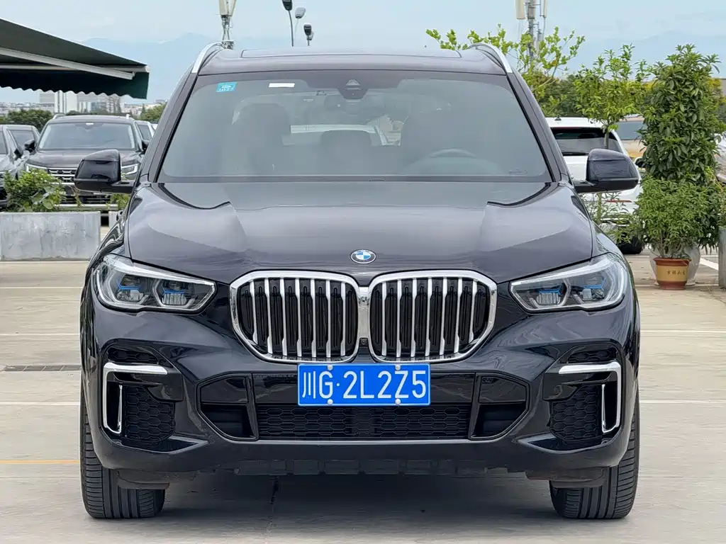 BMW X5 — миниатюра 2