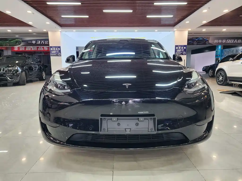 Tesla Model Y — миниатюра 2