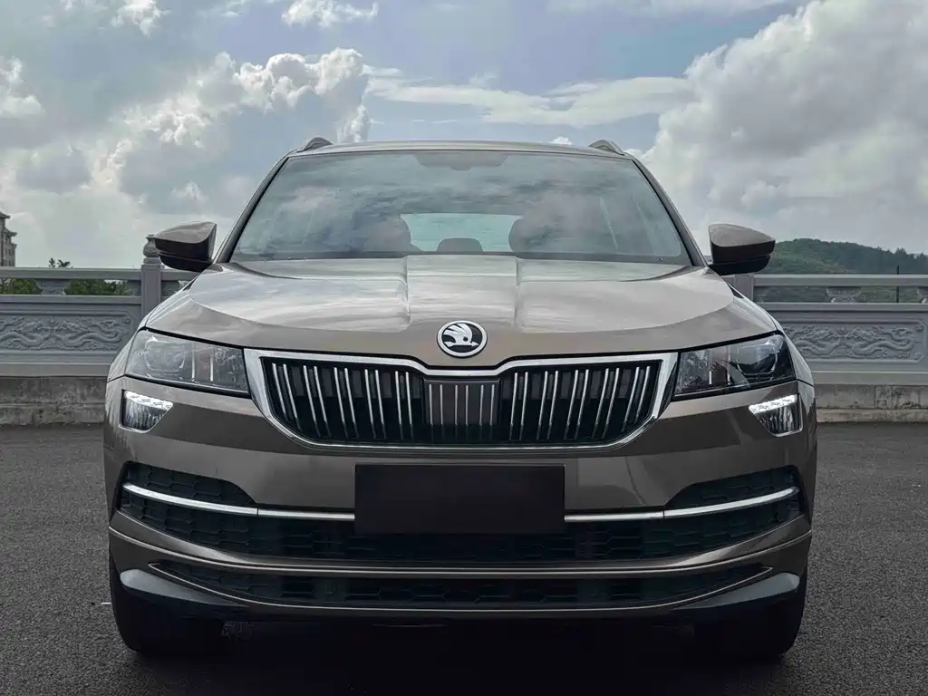Skoda Karoq — миниатюра 2