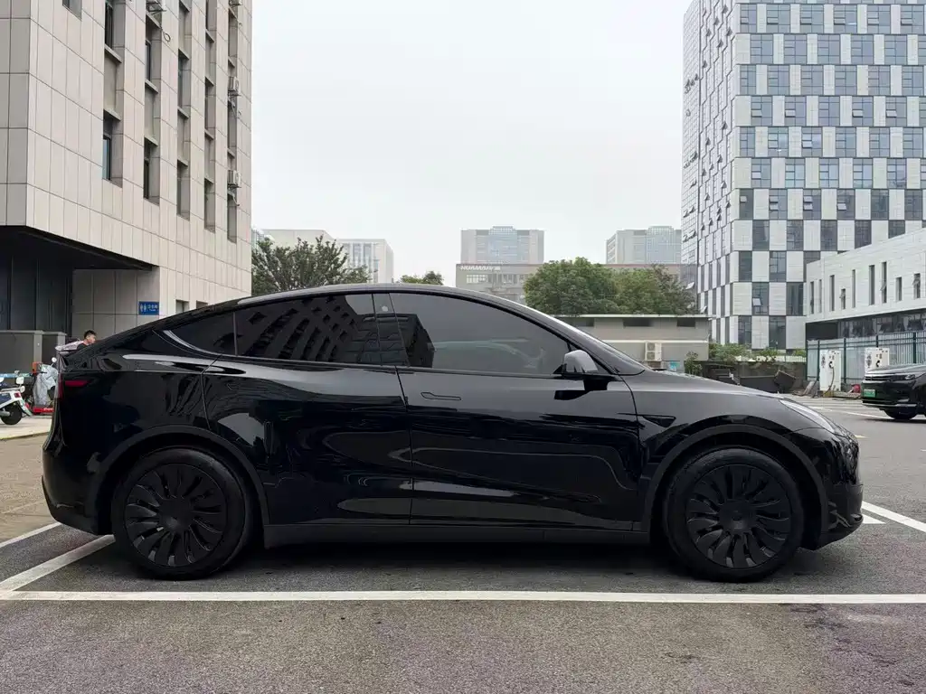 Tesla Model Y — миниатюра 7