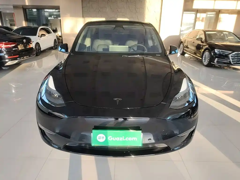 Tesla Model Y — миниатюра 3