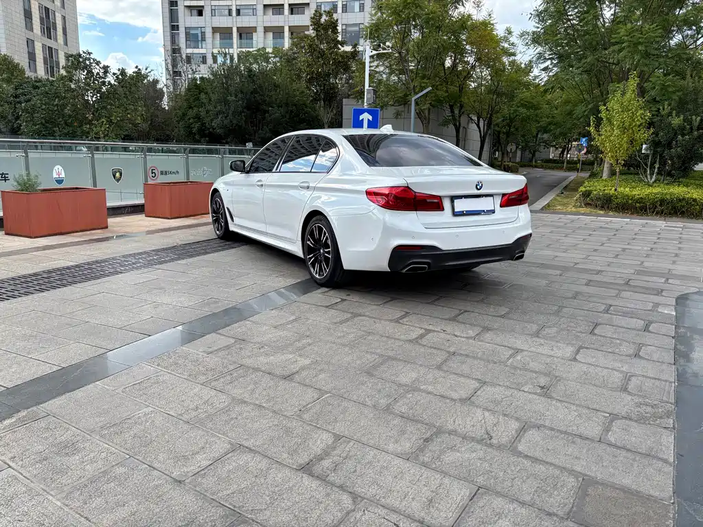 BMW 5 Series — миниатюра 5