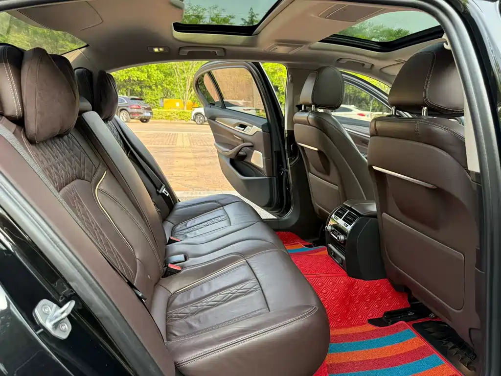 BMW 5 Series 5 2019 530Li Premium Luxury