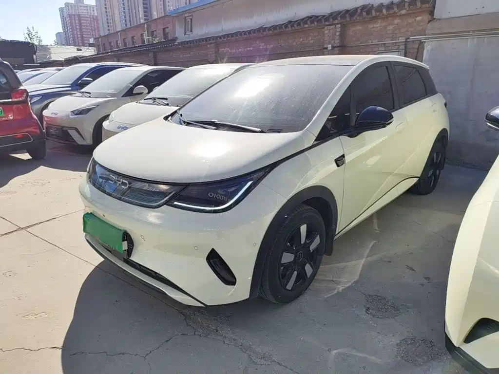 BYD Dolphin — миниатюра 2