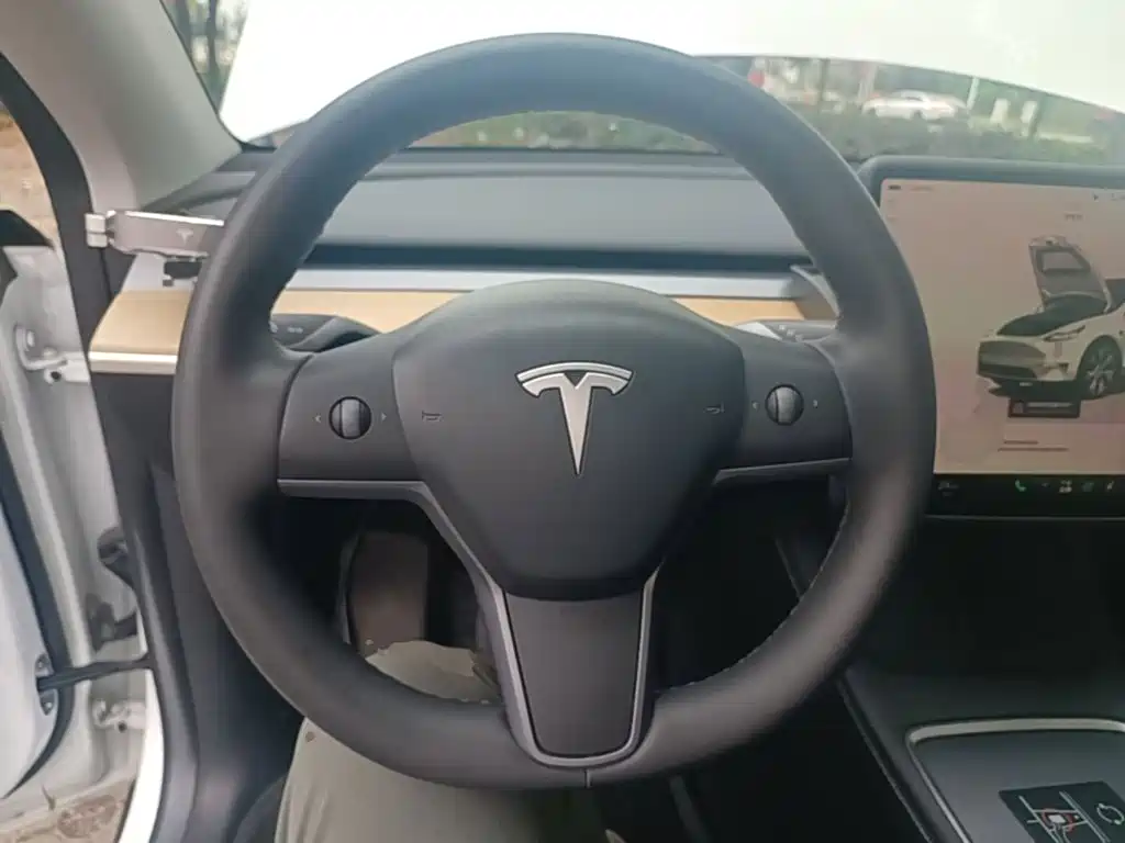 Tesla Model Y — миниатюра 11