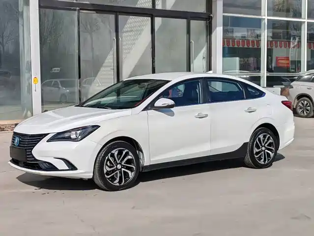 CHANGAN YIDONG NEW ENERGY 2020