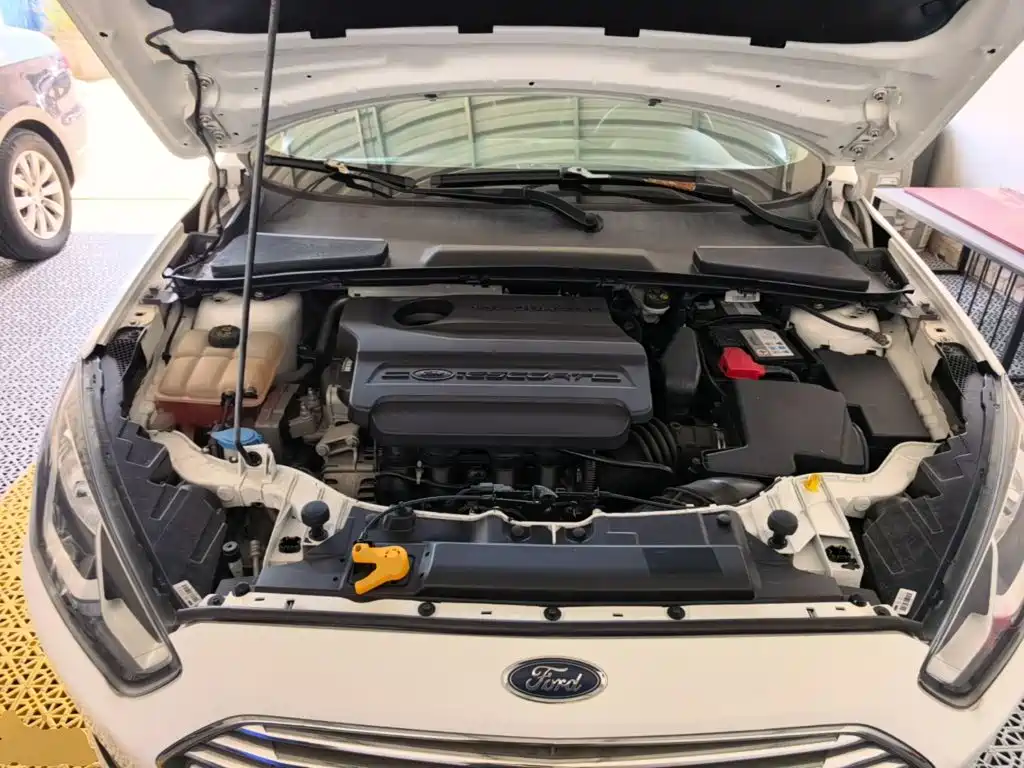 Ford Escort — миниатюра 20