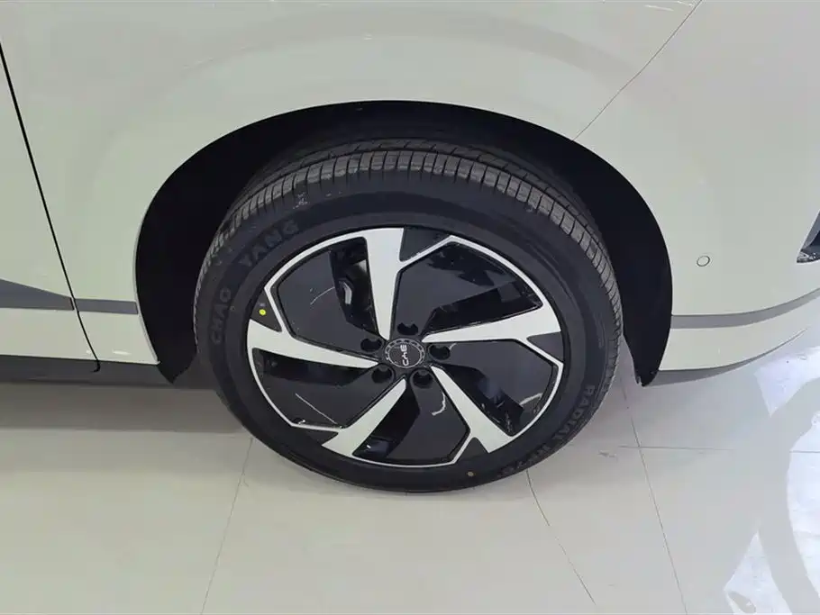 BYD SEA LION 06 NEW ENERGY