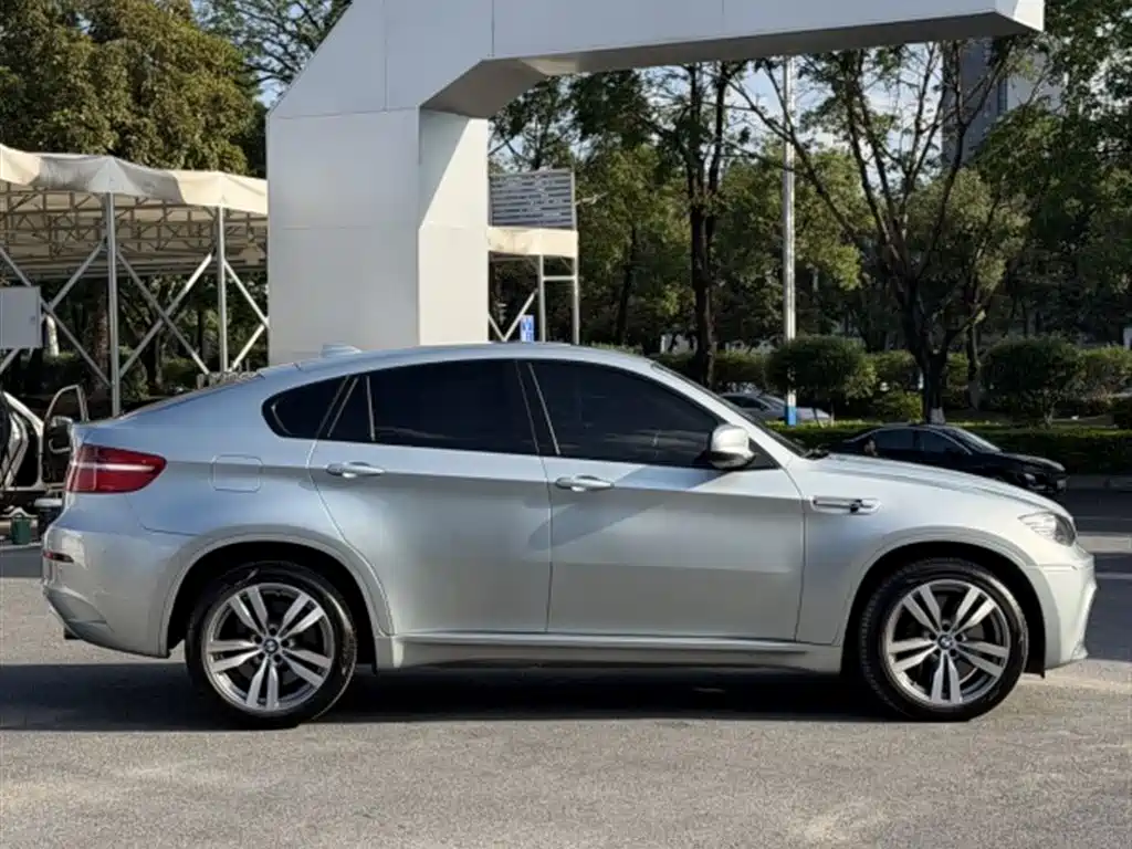 BMW X6 M 2010 X6 M