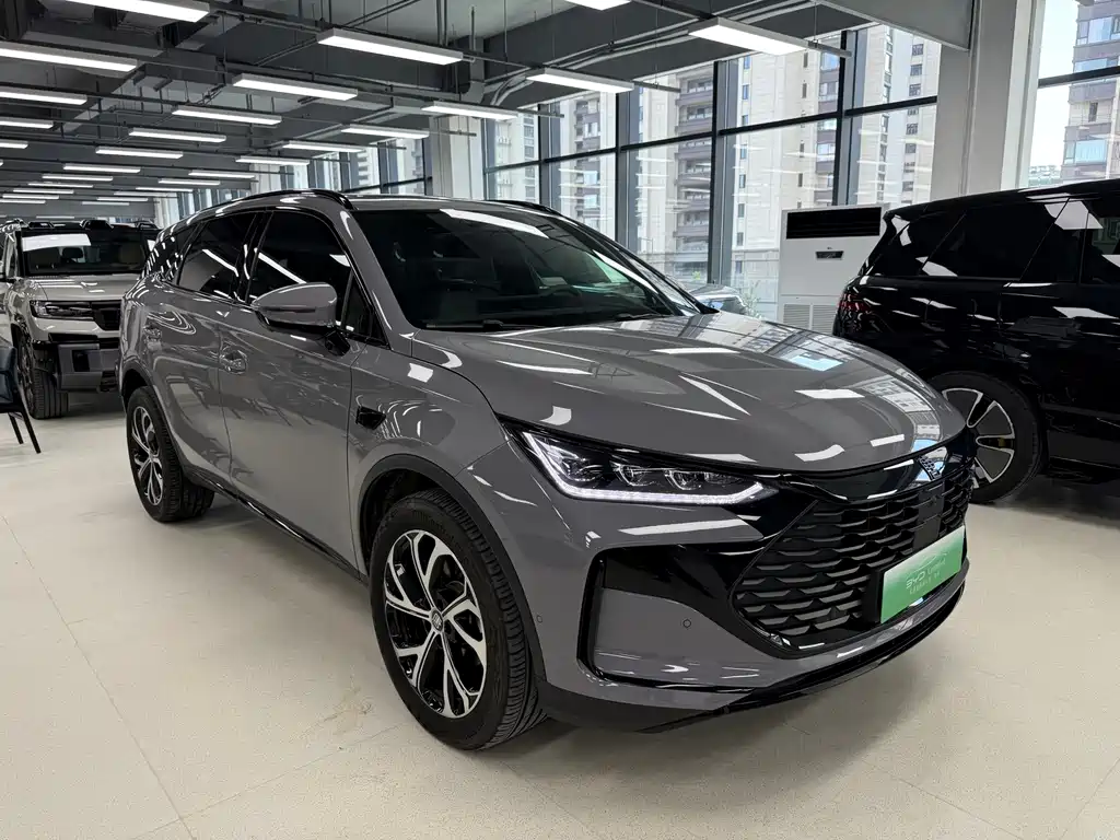 BYD Tang New Energy — миниатюра 3