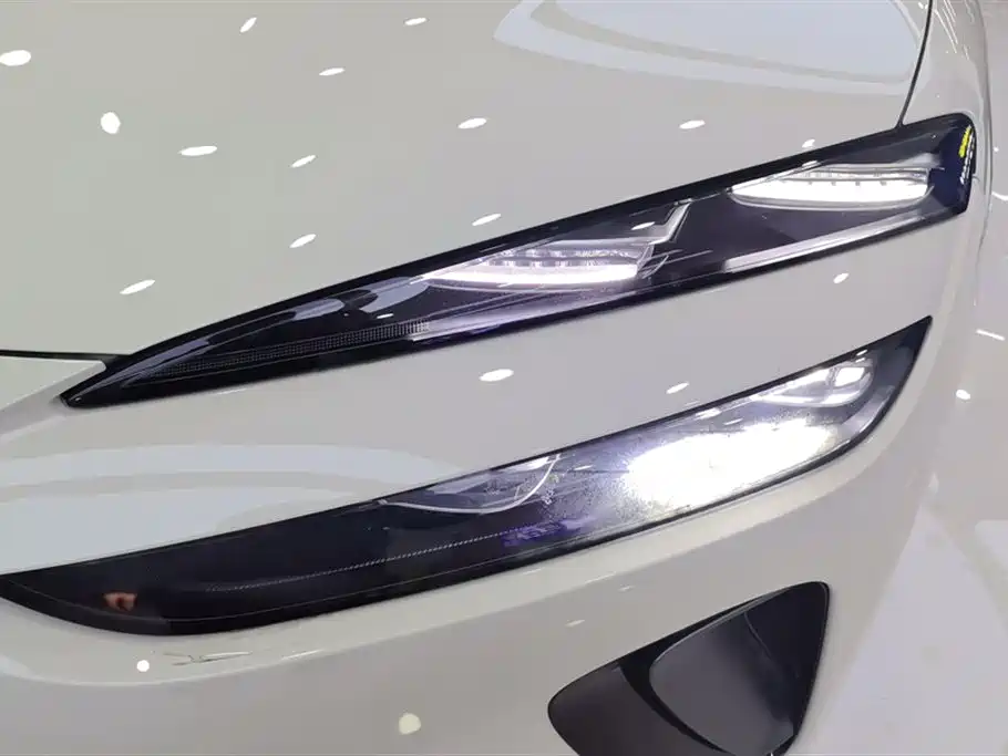 BYD SEA LION 06 NEW ENERGY