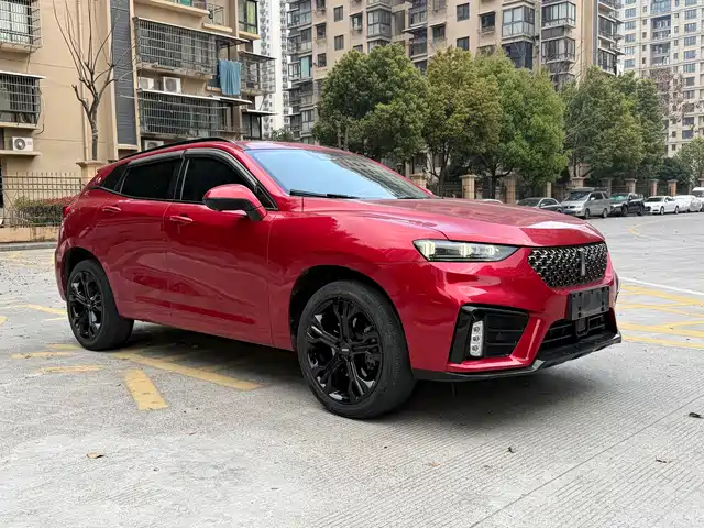 WEI PAI WEI BRAND VV7 2020