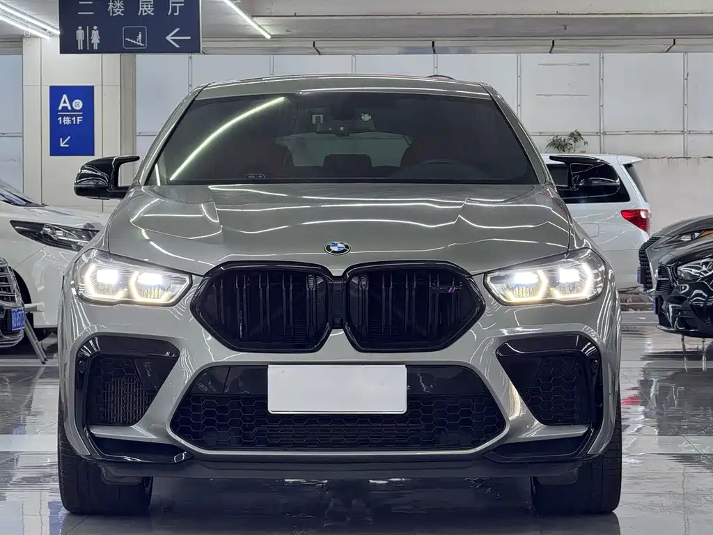 BMW X6 M — миниатюра 2