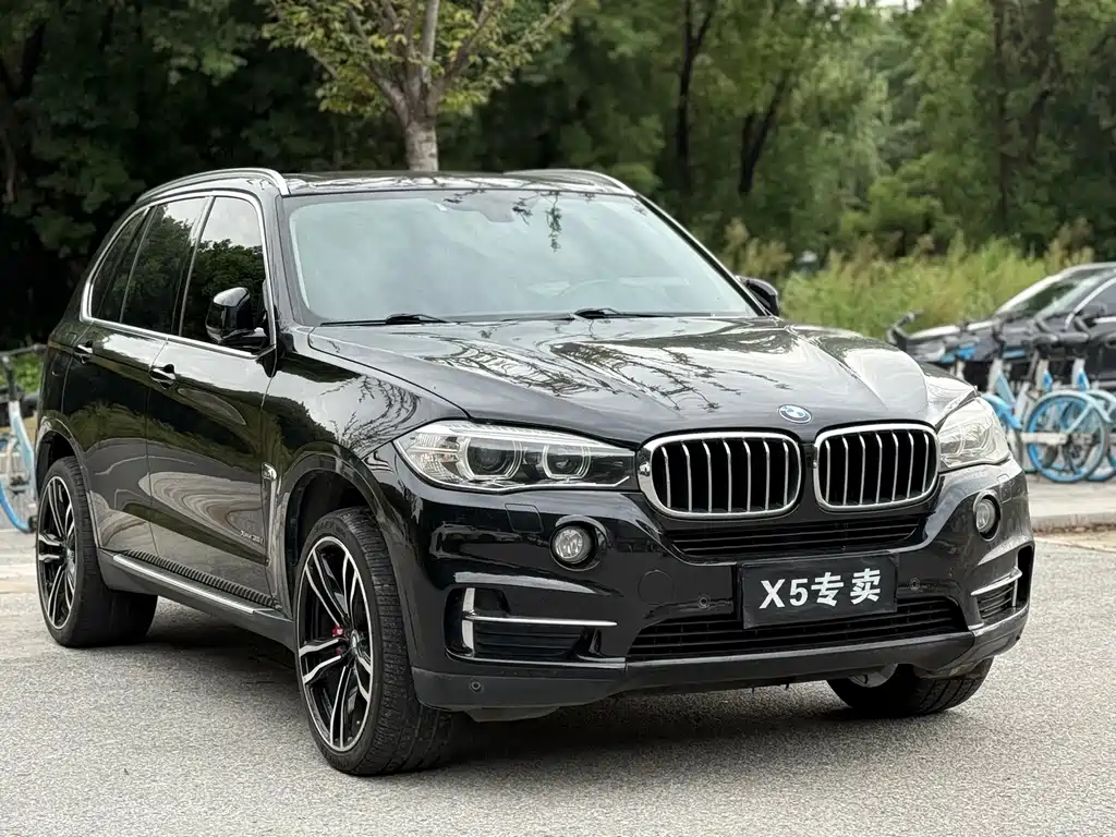 BMW X5 (Import) — миниатюра 3