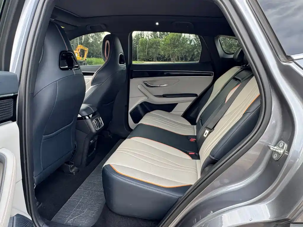 BYD PLUS New Energy — миниатюра 18