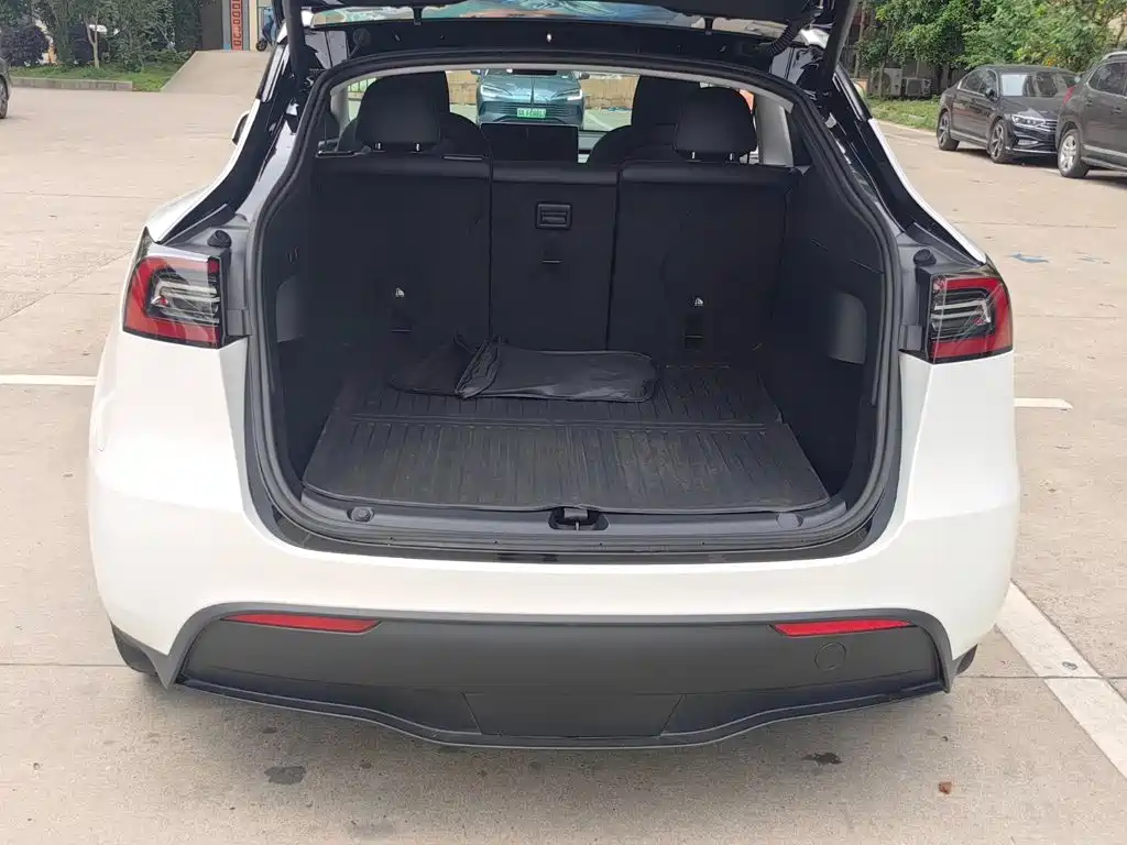 Tesla Model Y — миниатюра 16