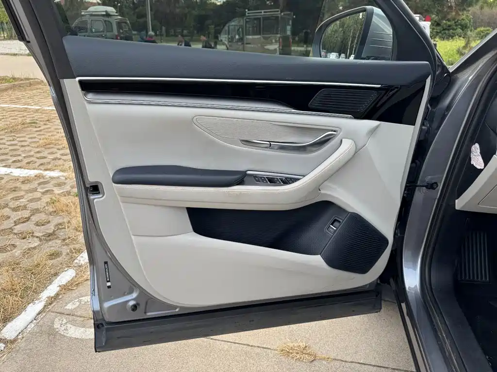BYD PLUS New Energy — миниатюра 11