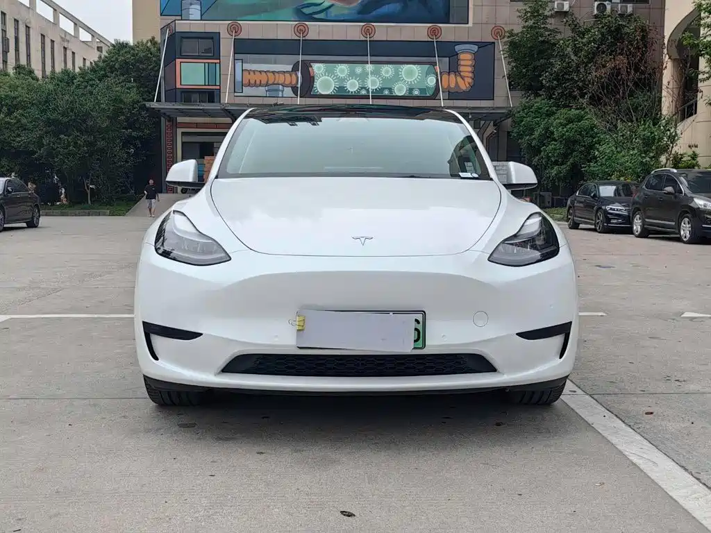Tesla Model Y — миниатюра 2