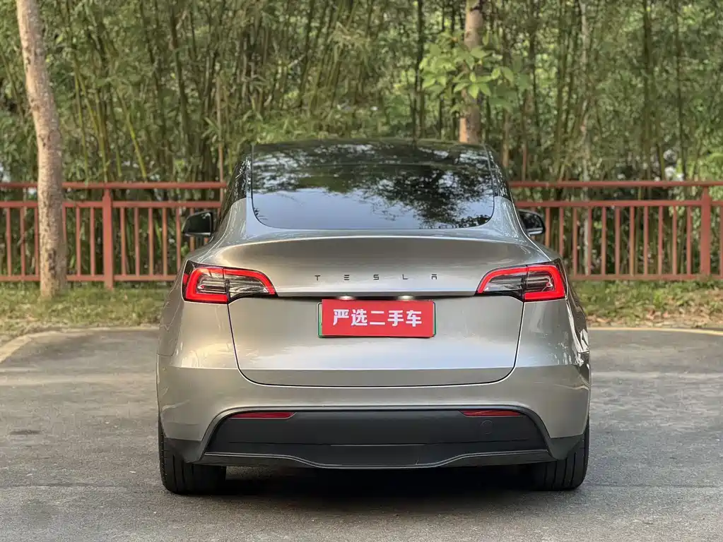 Tesla Model Y — миниатюра 8