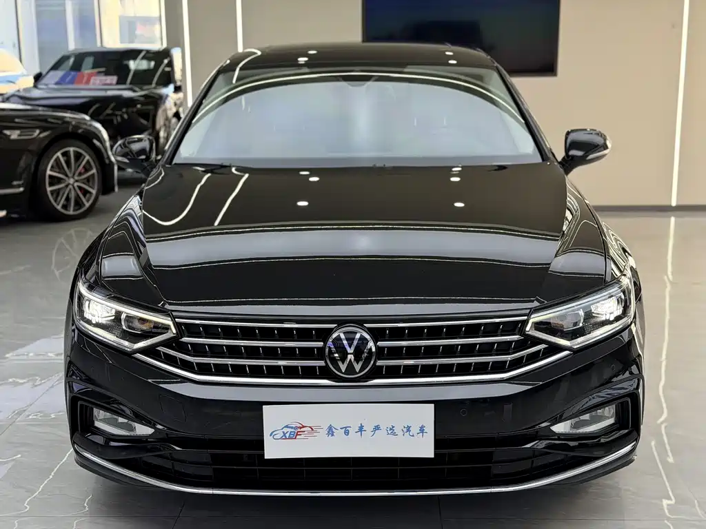 Volkswagen Magotan — миниатюра 2
