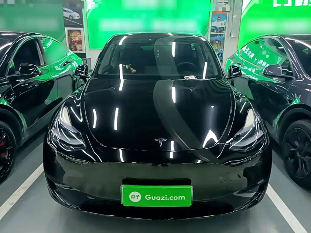 Tesla Model Y — миниатюра 3