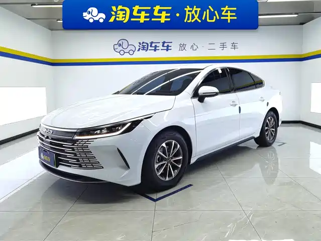 BYD DESTROYER 05 2024